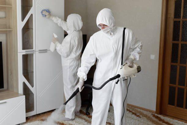 Mold Testing and Removal in Lisbon Falls, ME