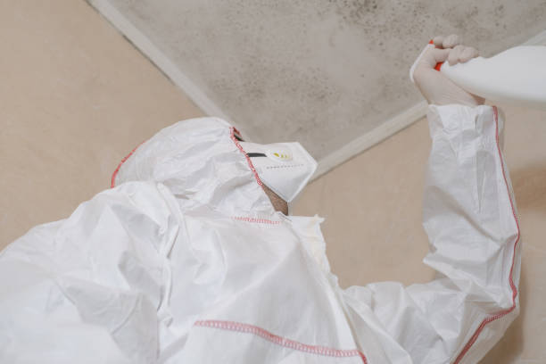Best Residential Mold Removal  in Lisbon Falls, ME