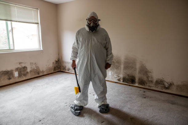 Best Crawl Space Mold Removal  in Lisbon Falls, ME